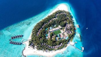 MALDIVE